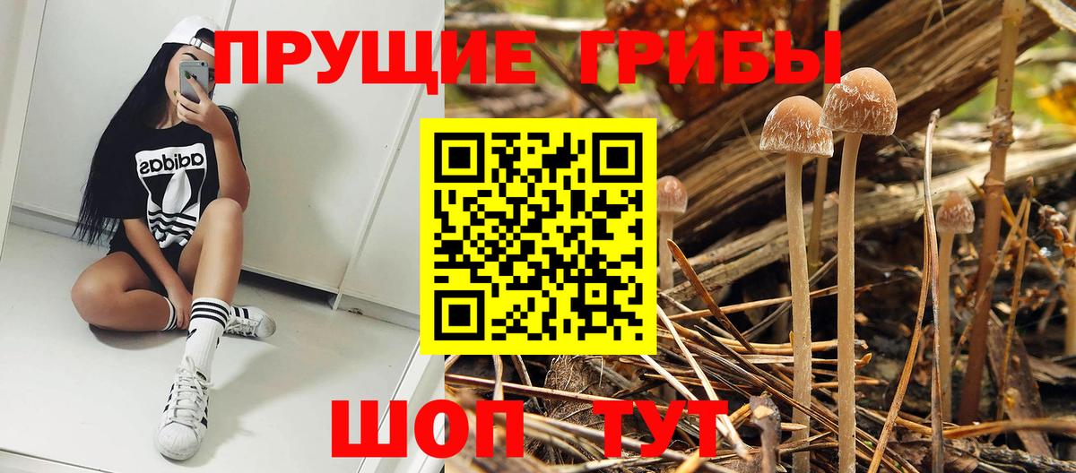 Галлюциногенные грибы MAGIC MUSHROOMS Минеральные Воды